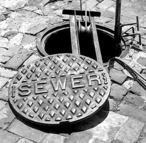 The sewer