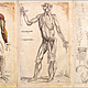 Historia anatomia