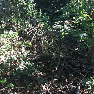 Timeline: History of Science (Computer)