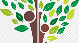 Timeline: Historia familiar