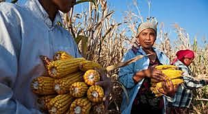 Subsidio al consumo de productos del campo