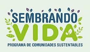 Sembrando Vidas, Desarrollo urbano  y vivienda, Tandas para el bienestar, Programa para el bienestar de las peronas Adultas Mayores, Programa Nacional de Becas