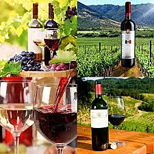 Vino en la Nueva España.