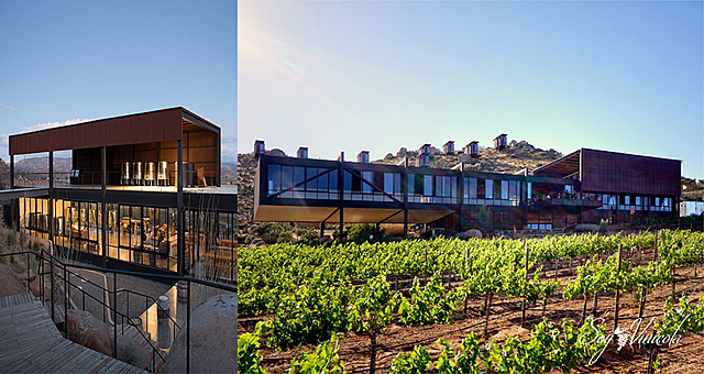 Vino en México Moderno