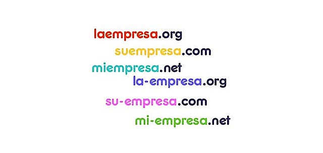 Introducción de dominios