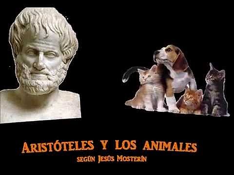Aristóteles
