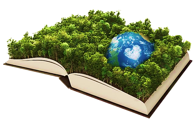 Ley 9 - norma colombiana.