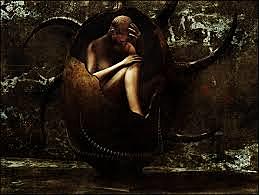 ¿CUAL ES EL PROBLEMA ?