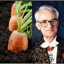 Roger Jean Gautheret