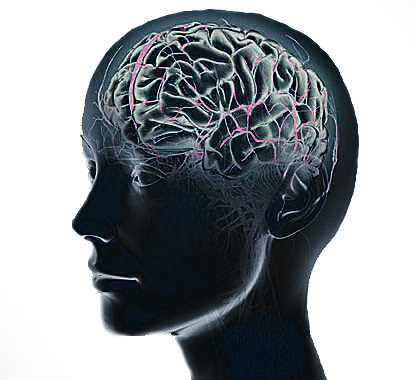 EL HEREDITARISMO Y LA TEORÍA DE LA DEGENERACIÓN EN EL SIGLO XIX