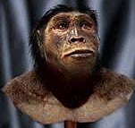 Orrorin Tugenesis, 6 millones de años