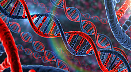 Timeline: Linea del Tiempo ADN