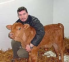 Se clona el primer toro campeón de la raza Brangus en el mundo