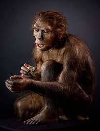 Homo Habilis 2.5-1.6 millones de años