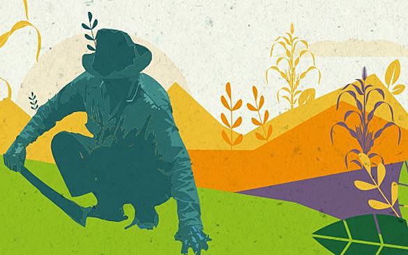 Programa de apoyo ejidal