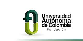 Professional Studies