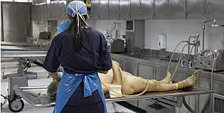 What was my favorite job?