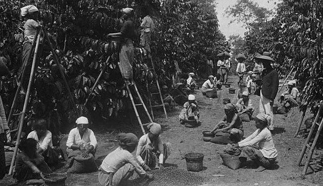 PELAKSANAAN TANAM PAKSA