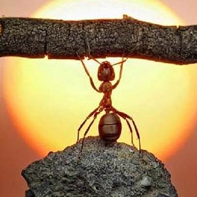 Timeline: Leadership timeline Fito