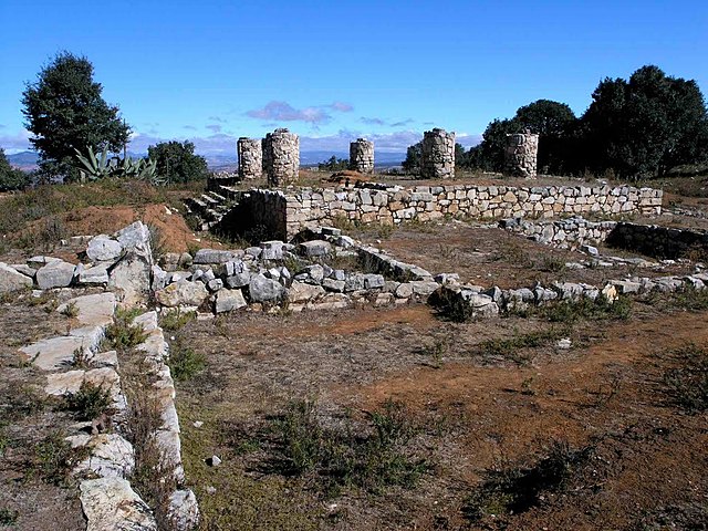 aparicion de montenegro