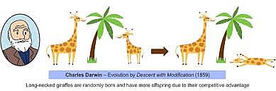 Theory of Natural Selection