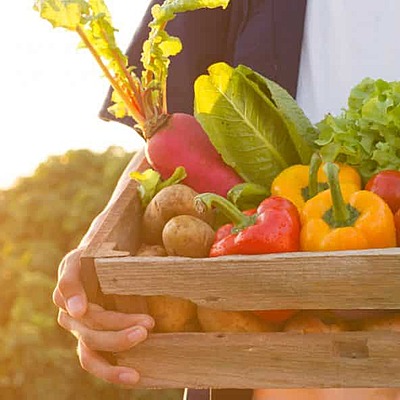 Timeline: Programas y políticas de alimentación y nutrición que han existido en México