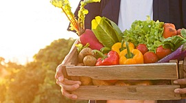 Timeline: Programas y políticas de alimentación y nutrición que han existido en México