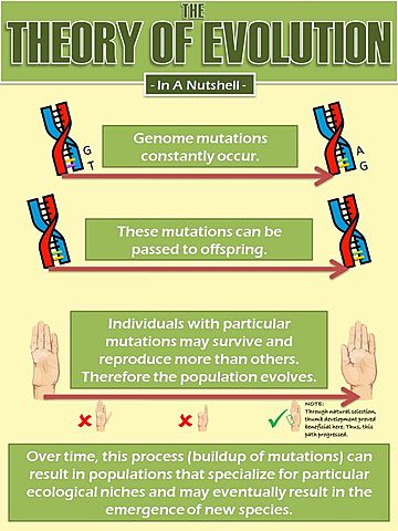Publishes, "On the Origin of Species by means of Natural Selection"