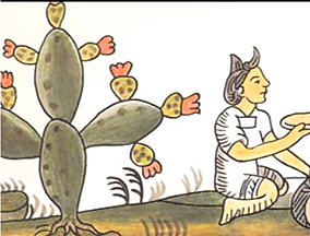 HERBOLARIA, SUTURAS Y MEDICAMENTOS-NAHUATL