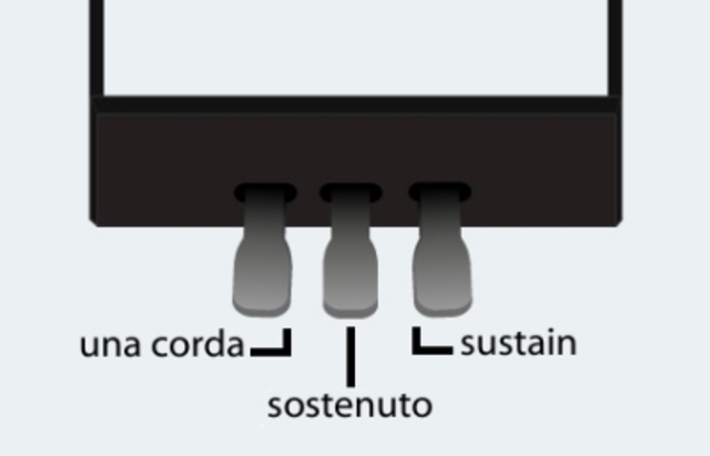 Sostenuto pedal