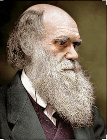 The origin of spices