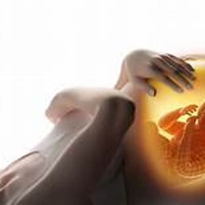 Timeline: Psicología Evolutiva y el desarrollo prenatal