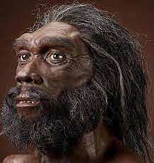 Homo Heidelbergensis 500.00 - 250.000 años