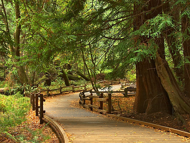 Ralph Waldo Emersons "Nature"