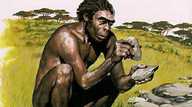 PRIMER HOMINIDO 2,5 MILLONES DE AÑOS