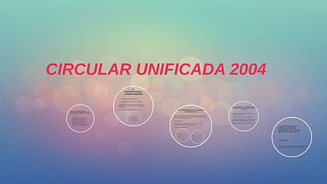 CIRCULAR UNIFICADA DEL 2004
