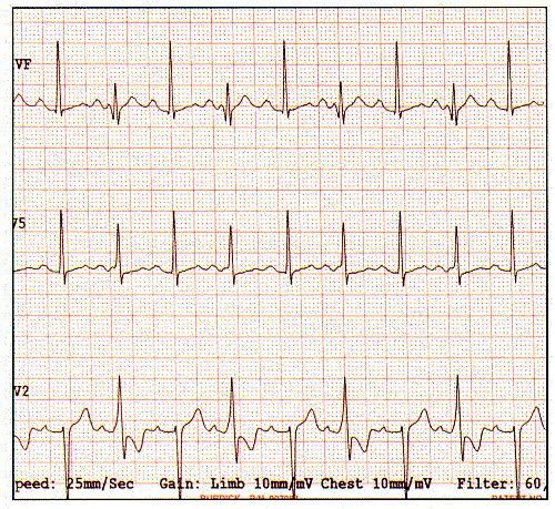 Red de Telemedicina Internacional