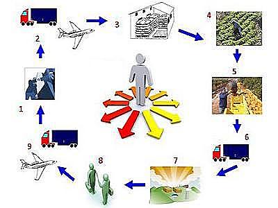 La función logística