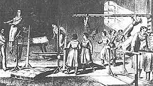 Primera Mujer designada como Profesora de Gimnasia