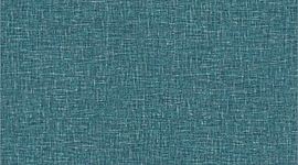 Timeline: Neuromàrqueting