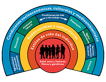 Concepto de Salud de la OMS