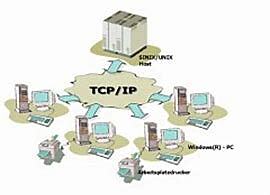 Protocolo TCP/IP (1982)
