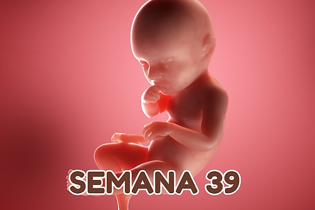 Semana 39