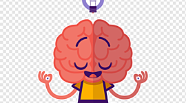 Timeline: Cerebro_Tarea1