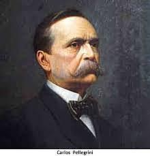 presidencia de pellegrini