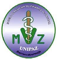 PRIMER PROGRAMA ACADÉMICO