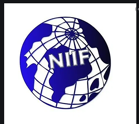 SE IMPLEMENTA LAS NIFF