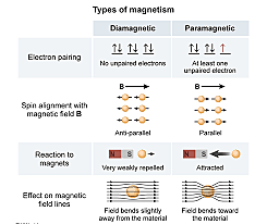 John Tyndall Born August 2, 1820- Died December 4, 1893, Diamagnetism