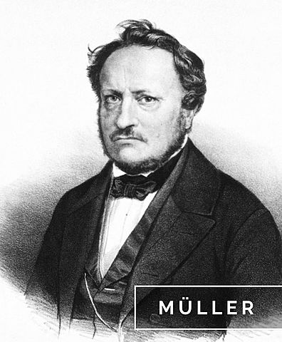 Müller