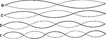 Discovery of the Cavitation phenomenon